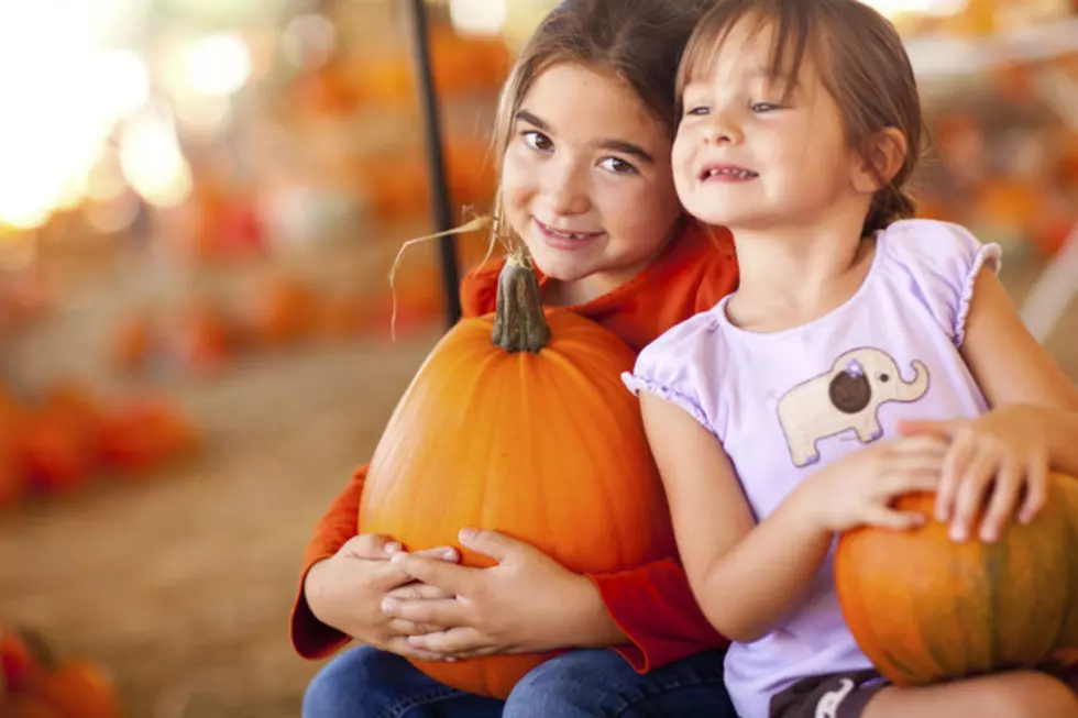 Halloween Fun In Bangor With Pumpkins In The Park