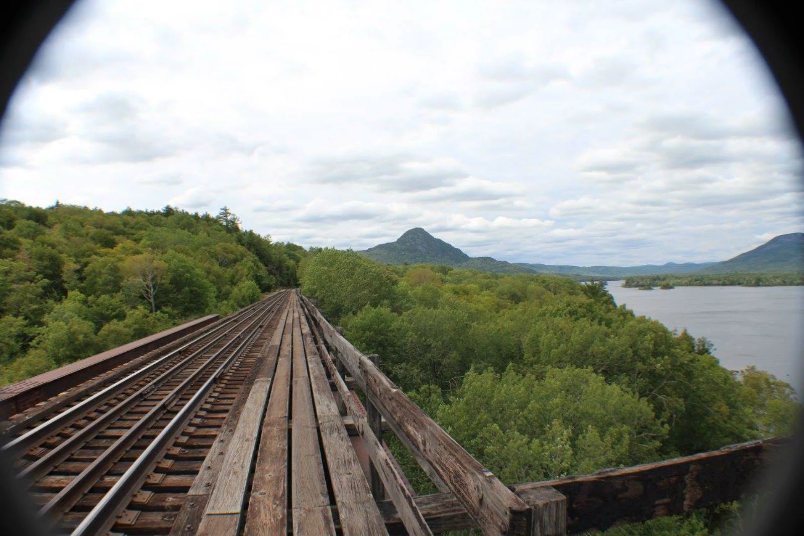 tallest train