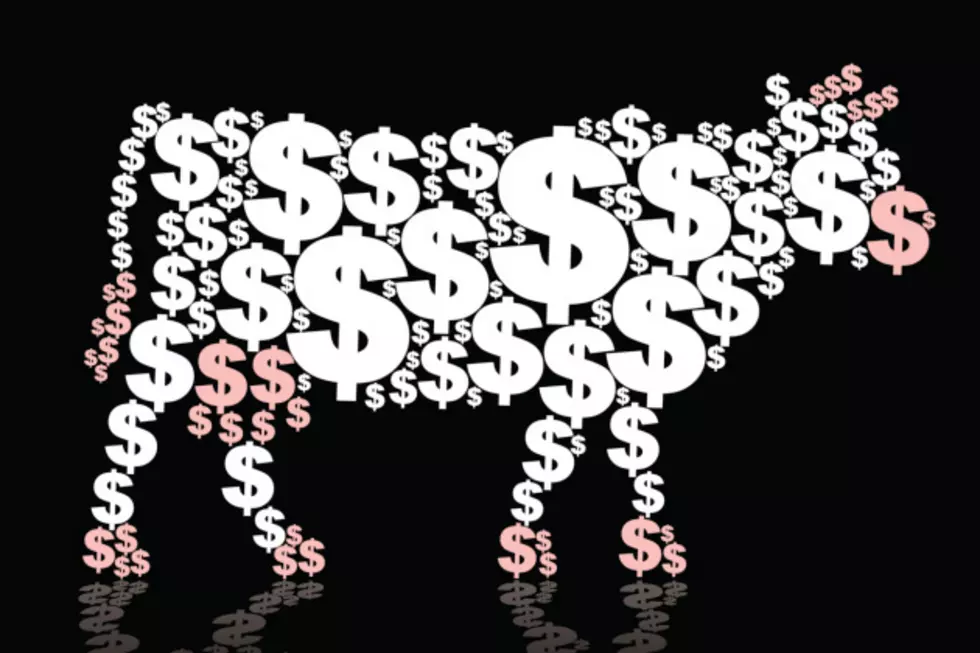 CASH COW: Five Reasons You Don&#8217;t Want To Win $5,000 From Us