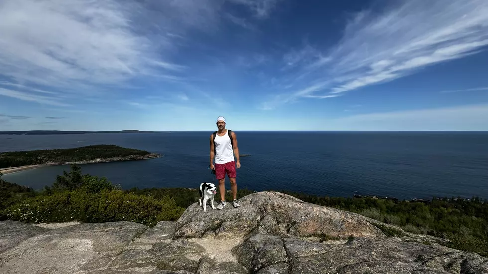 Reviewing Hiking Trails of Maine: Gorham Mountain Trail