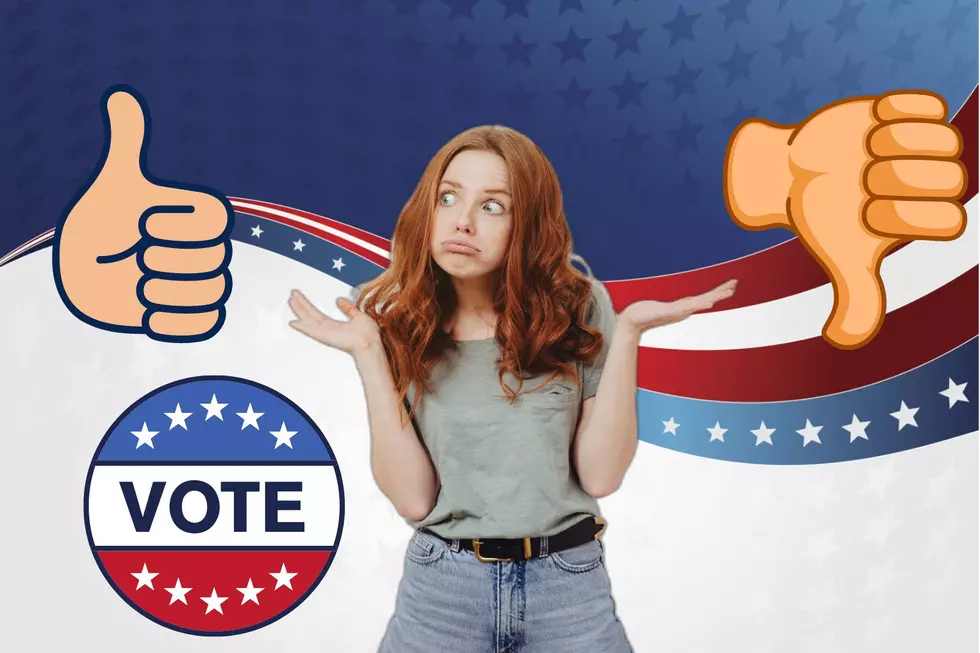 Do Your Homework Before the Maine Election With a Helpful Guide