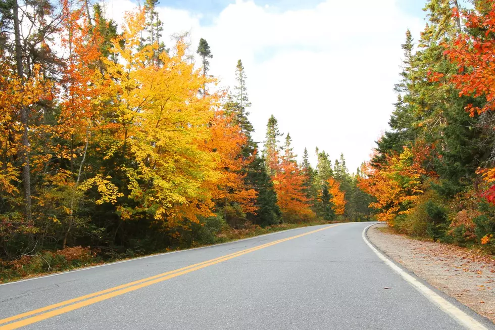 Credit: Canva / Getty Stock